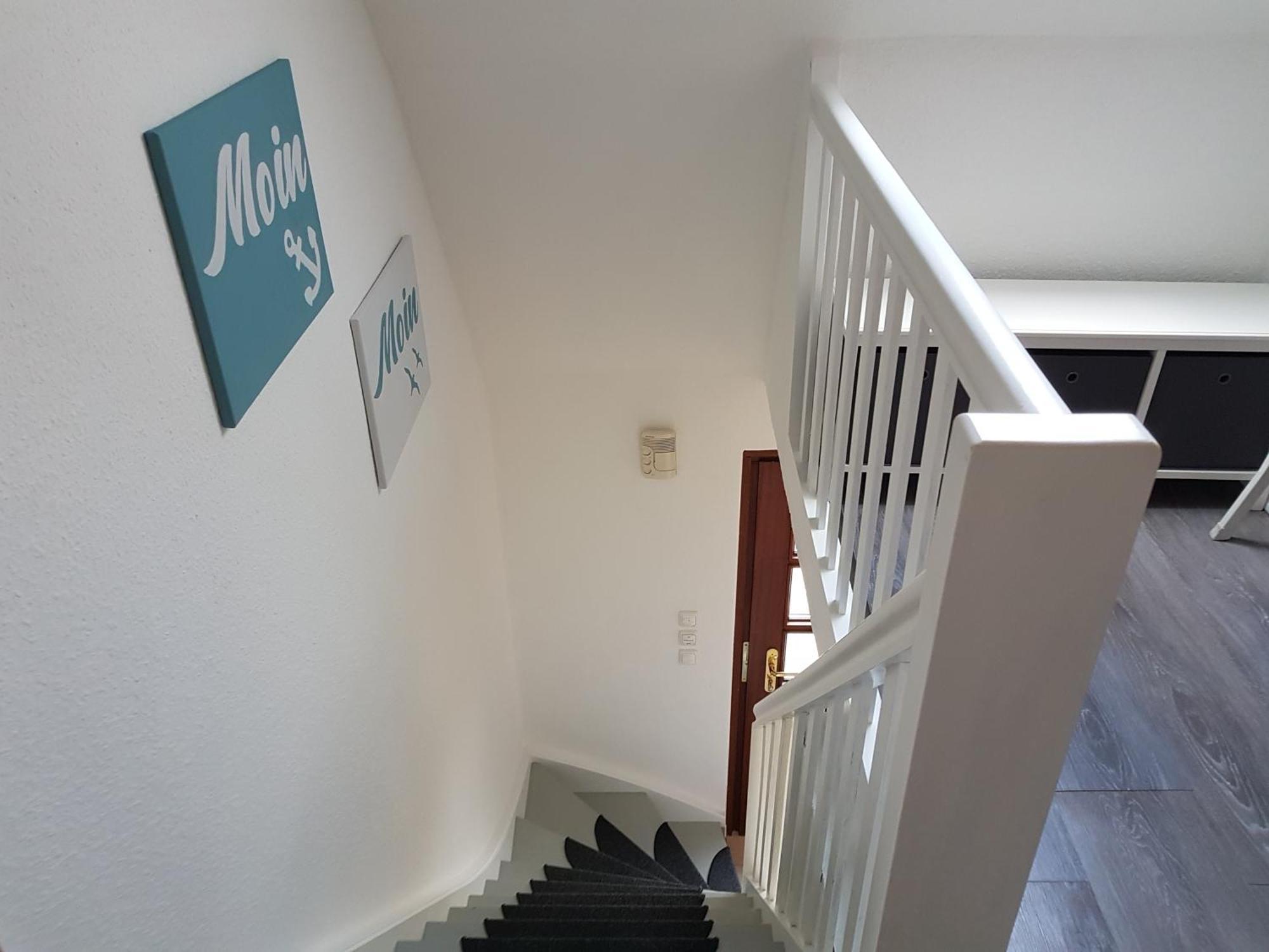 Seeblick- Noer
