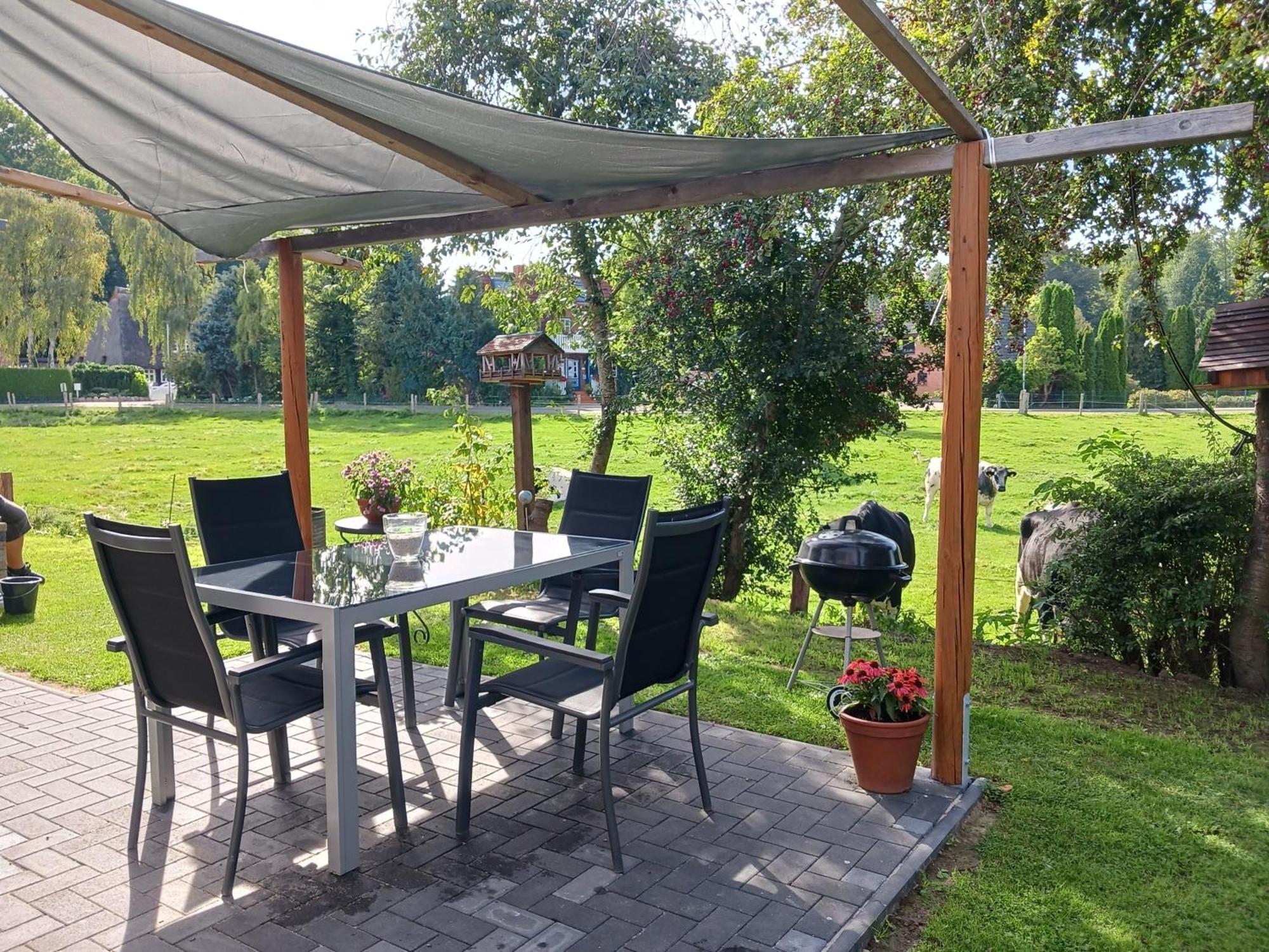 Seeblick- Apartment Noer